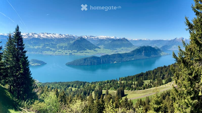 Panoramic view of a lake surrounded by lush green forests and snow-capped mountains under a clear blue sky.