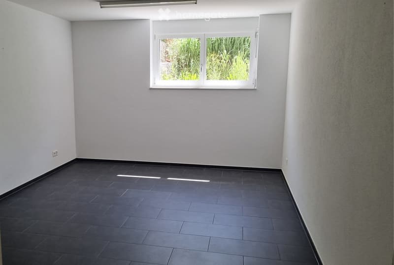 Empty room with dark tiled floor, light grey walls, and a window with white frame showing greenery outside.