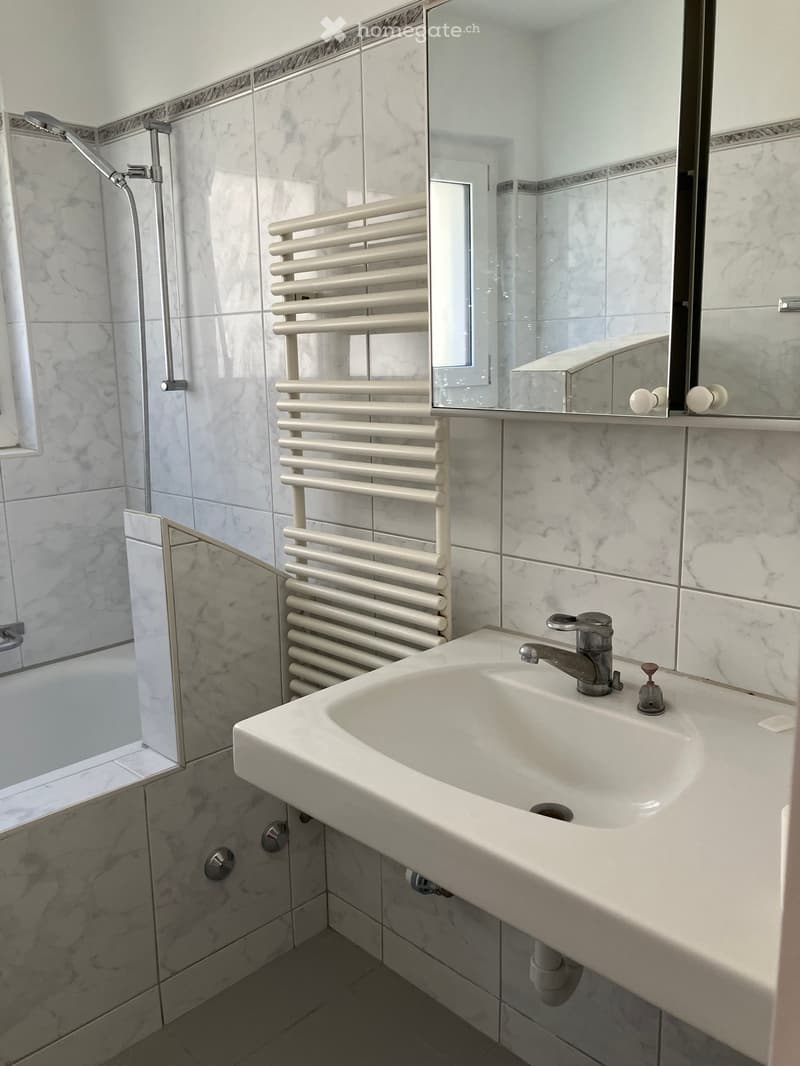 Modern bathroom with marble tiles, a white sink with chrome faucet, a large mirror, a radiator, and a glass-enclosed shower area.
