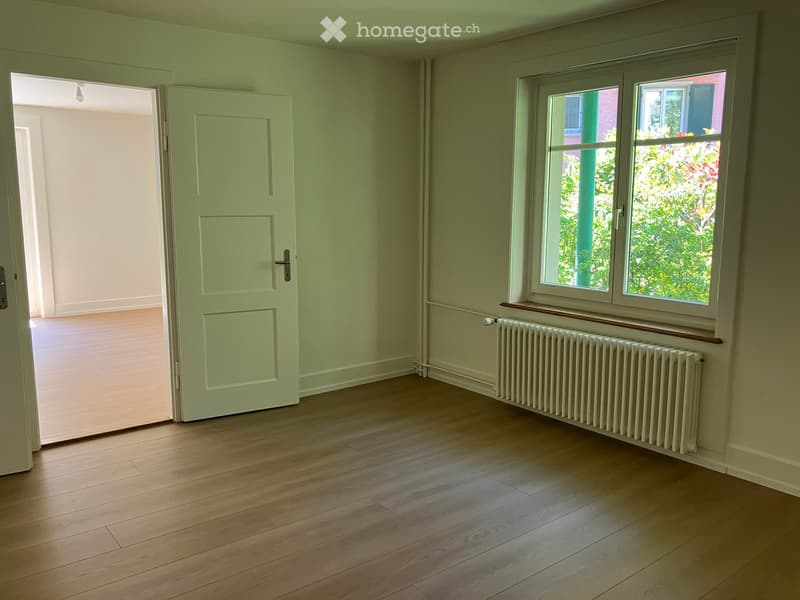 Empty room with light green walls, wooden flooring, a white door, and a radiator beneath a window showing greenery outside.