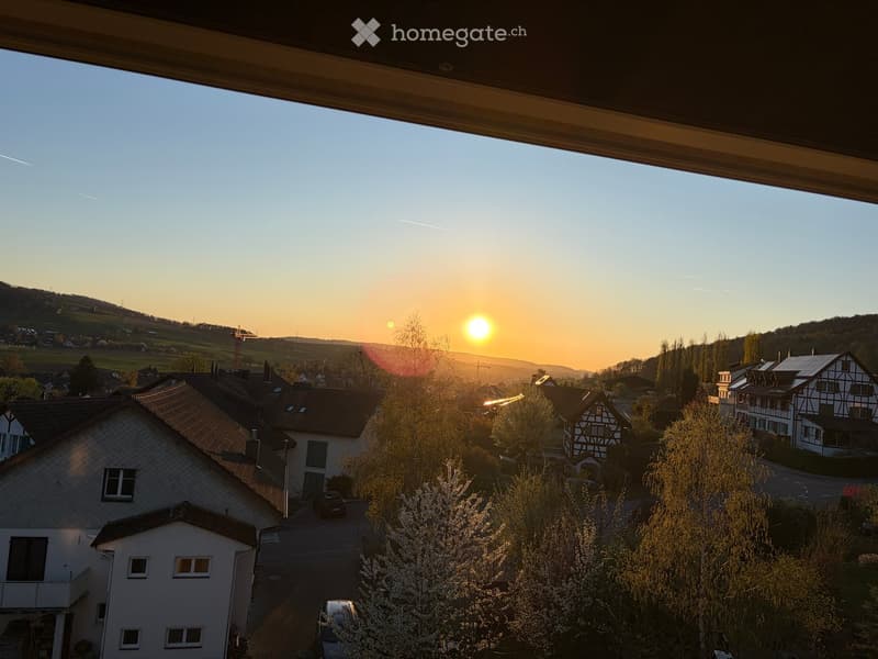 Residential neighborhood with houses, trees, and a sunset view.