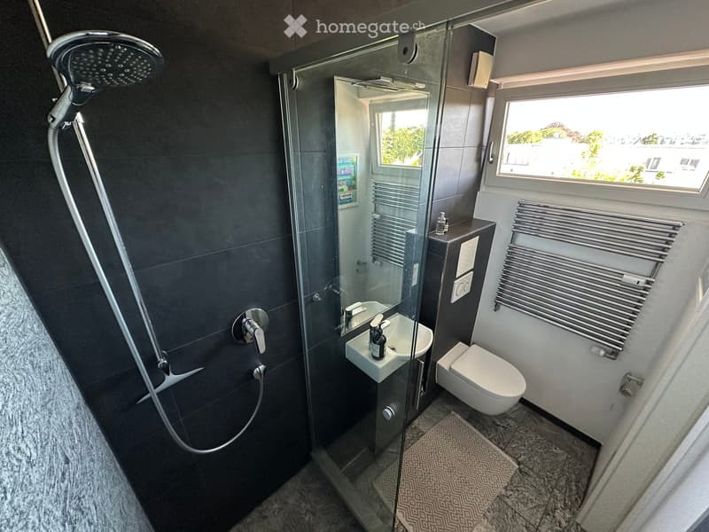 Modern bathroom with dark tiled walls, glass shower enclosure, white sink, toilet, and radiator.