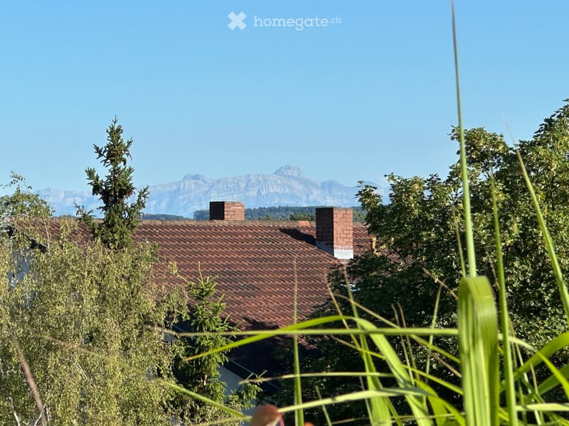 A brick-roofed building with chimneys, surrounded by trees and overlooking a mountain range.