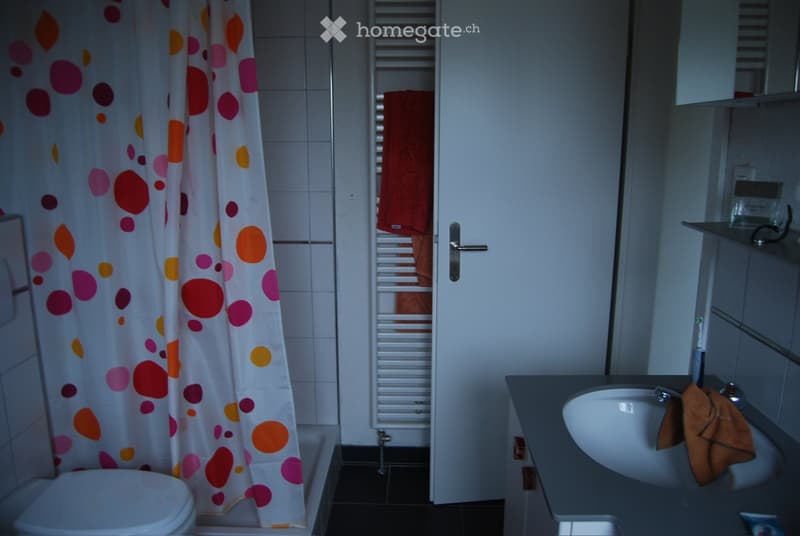 Bathroom with a toilet, sink, bathtub, radiator, and a colorful shower curtain.