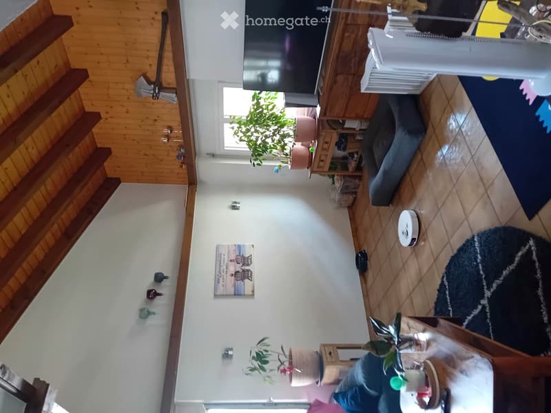 5,5 Duplex Zimmer-Wohnung (6)