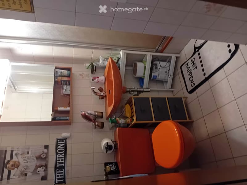 5,5 Duplex Zimmer-Wohnung (10)