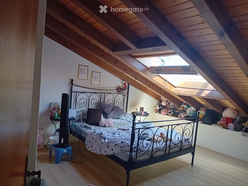5,5 Duplex Zimmer-Wohnung (1)