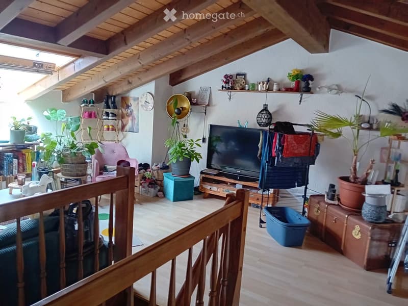 5,5 Duplex Zimmer-Wohnung (7)