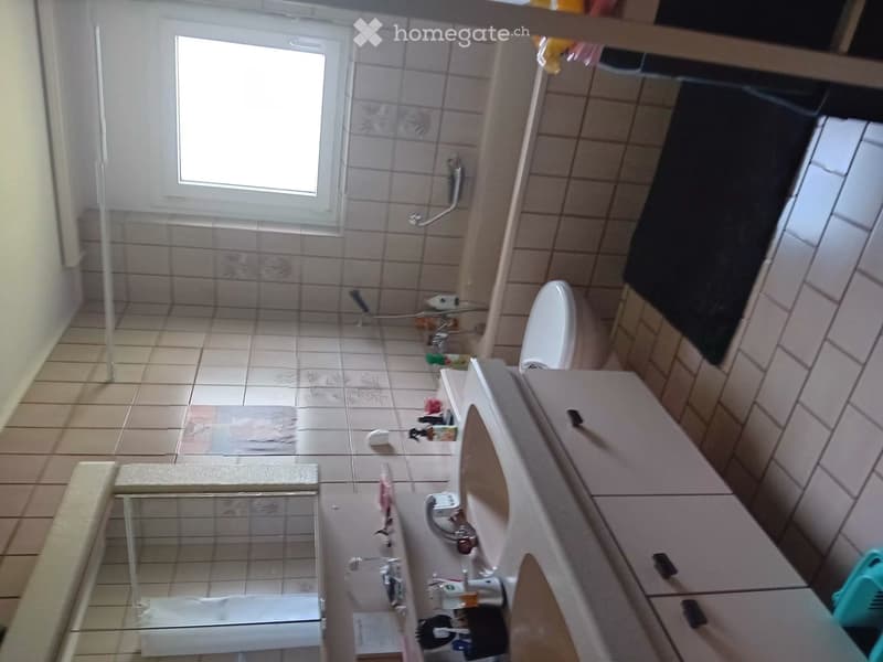 5,5 Duplex Zimmer-Wohnung (8)