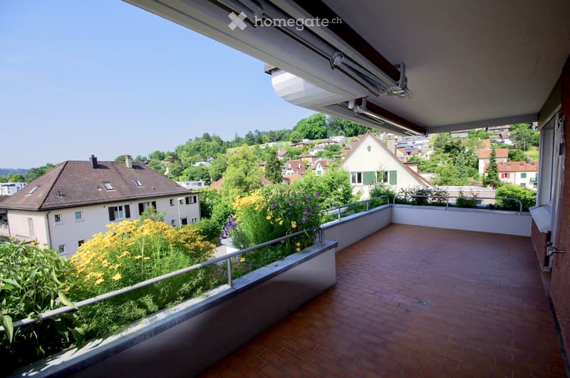 Terrace with brick floor, metal railing, plants, view of the town