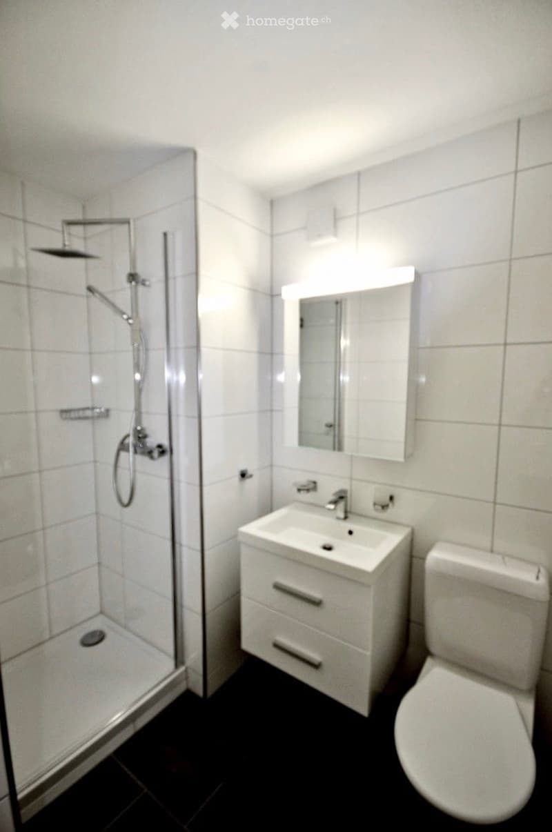 modern bathroom, white tiles, shower, sink, toilet, mirror