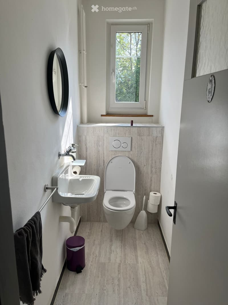 Bathroom. Modern bathroom with white walls, light wooden flooring, a sink with a chrome faucet, a toilet, a round mirror, a towel, toilet paper, a purple trash bin, and a mop.