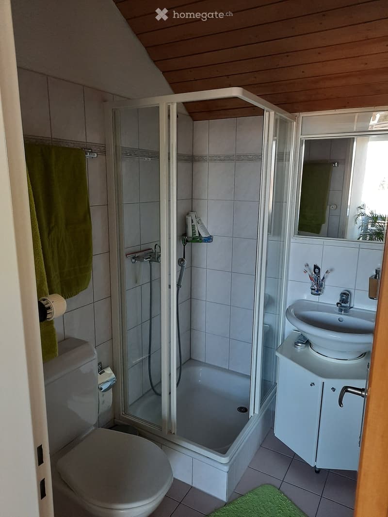 Modern bathroom with a bathtub, shower, sink, and toilet. Features a white tiled design, a green towel, and a small green rug on the floor.