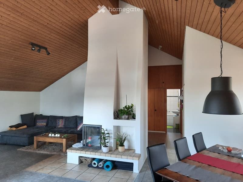 Living room with a grey sofa, coffee table, dining area with chairs and table, fireplace, and potted plants.