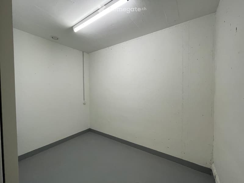 Empty room with white walls, grey carpeted floor, and a single fluorescent light fixture on the ceiling.