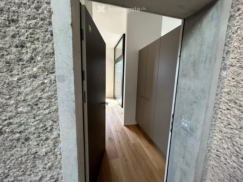 Modern hallway with wooden flooring, stone walls, and a closed door leading to another room.