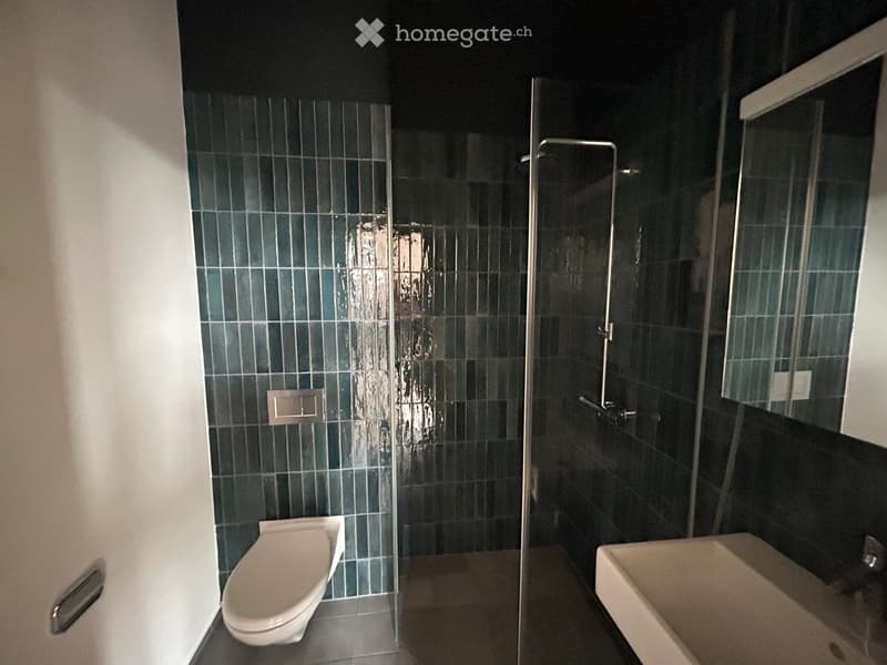 Modern bathroom with dark green tiled walls, a glass-enclosed shower, a toilet, and a sink.