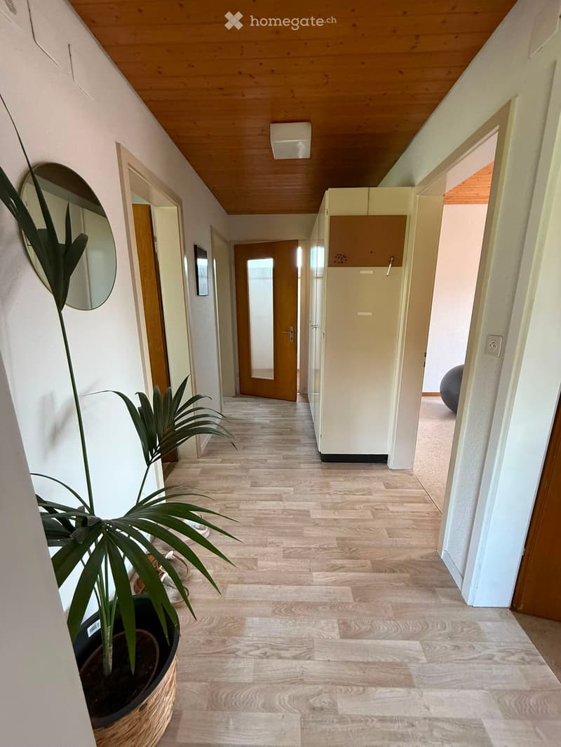 Clean hallway with wooden flooring, white walls, and several doors leading to different rooms. A large potted plant is visible on the left side.