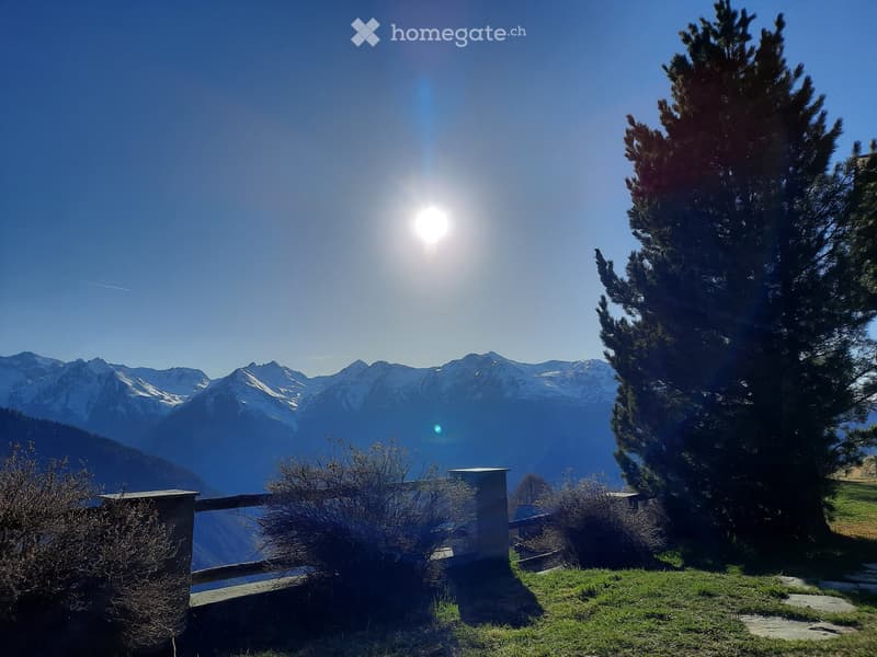 A scenic outdoor view with a clear blue sky, snow-capped mountains in the background, a large tree, and a stone wall with a railing.