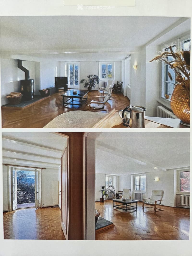Bright living room with wooden flooring, fireplace, coffee table, chairs, television, and decorative vase.