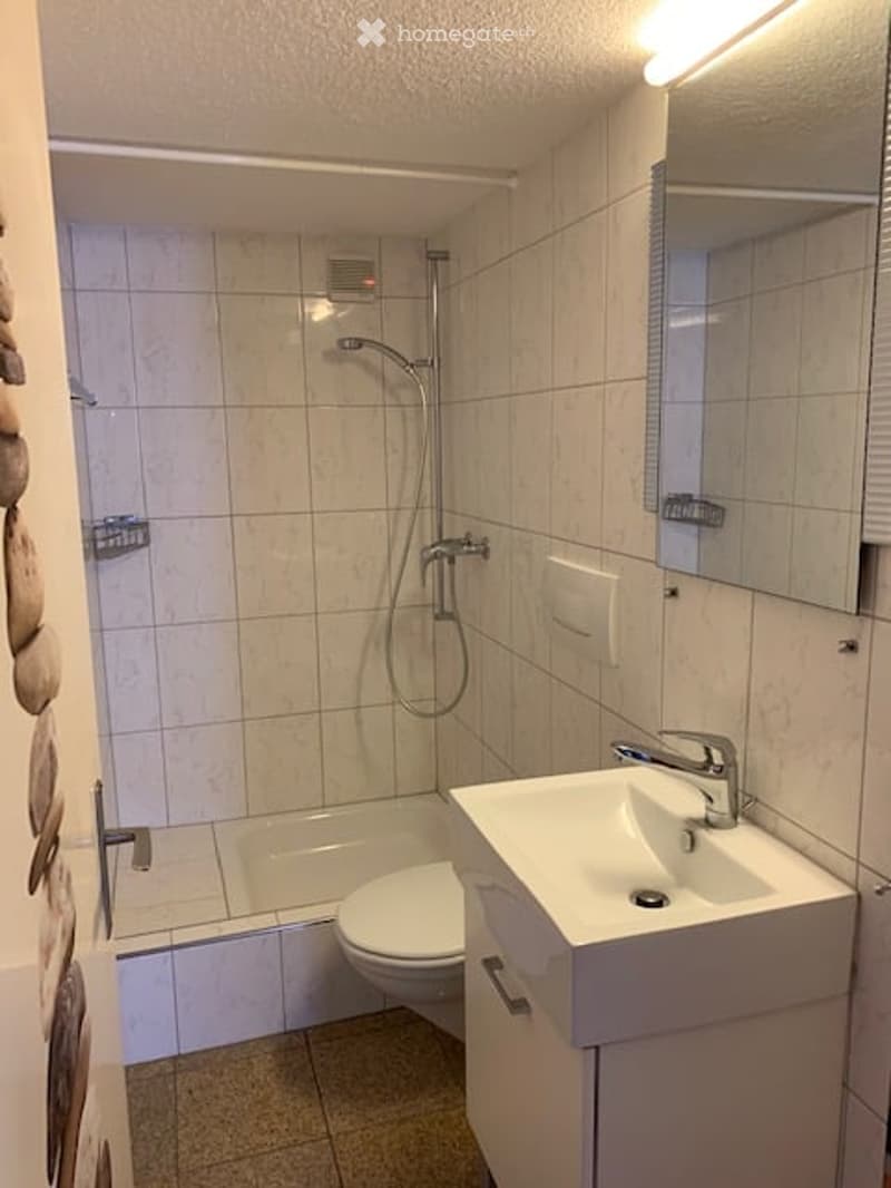 Modern bathroom with a white tiled shower area, a toilet, a sink with a modern faucet, and a large mirror above the sink.