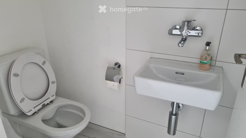 white ceramic toilet, white ceramic sink, white tiled wall, soap bottle on sink, toilet paper dispenser on wall
