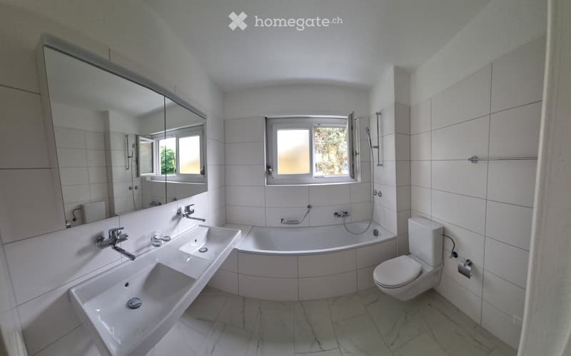 Modern bathroom with white tiles, spacious vanity, bathtub, separate toilet, shower, large mirror, natural light from the window.