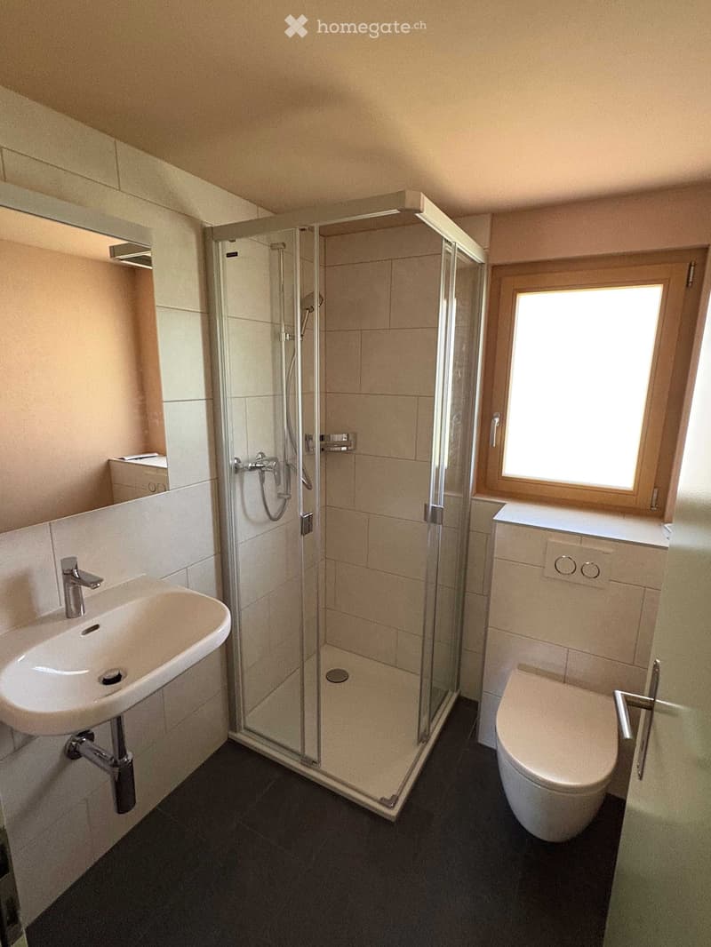 Modern bathroom with a glass-enclosed shower, a white sink with a chrome faucet, a toilet, and a mirror above the sink. The room features beige tiled walls and dark tiled flooring.