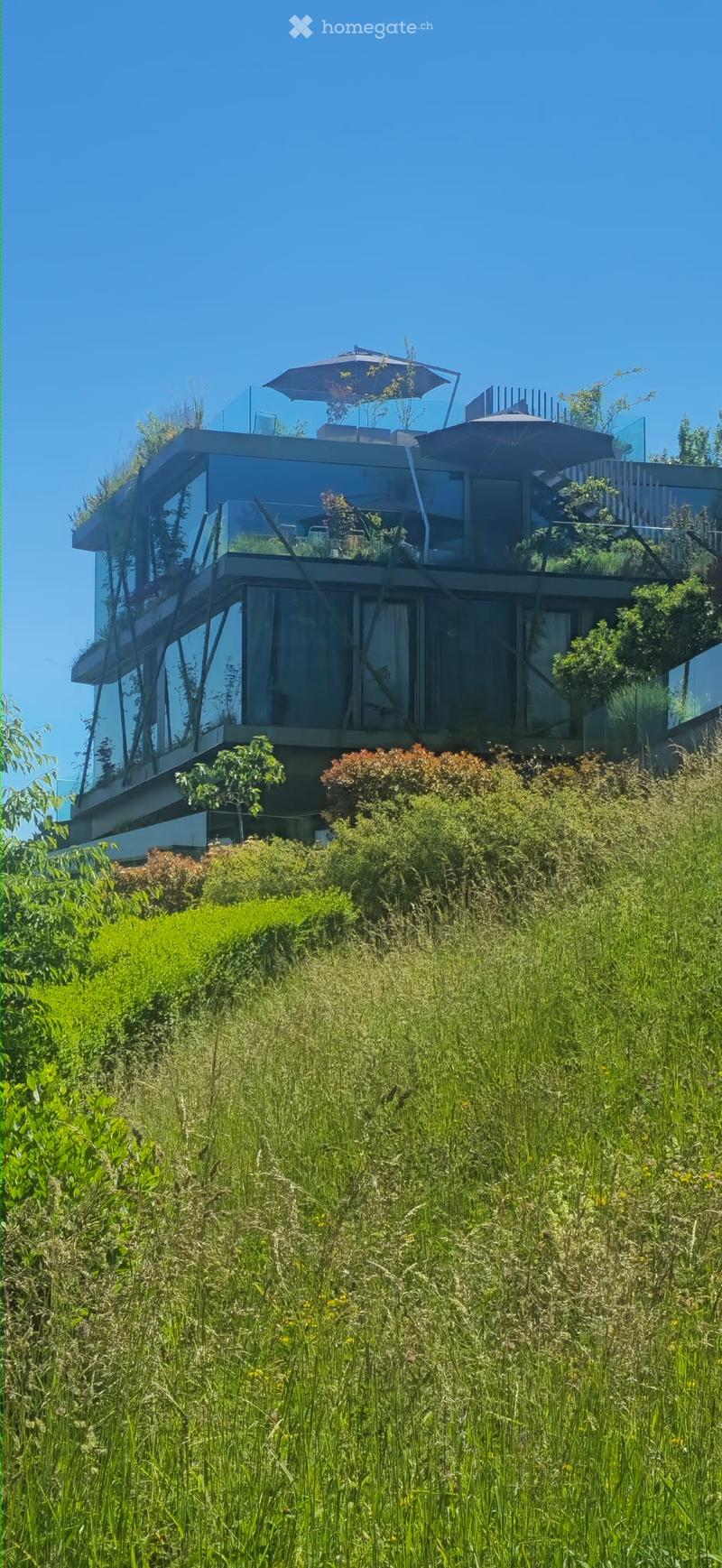 Modern two-story house with large glass windows and a rooftop terrace, surrounded by lush greenery and tall grass.