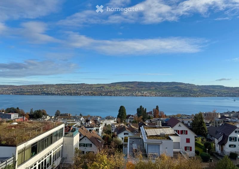 A panoramic view of a suburban neighborhood with houses, trees, and a large body of water in the background under a partly cloudy sky.