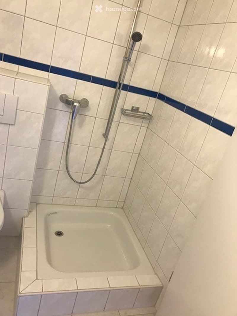 A small bathroom with a white tiled shower area, a bathtub, and a handheld showerhead attached to the wall.