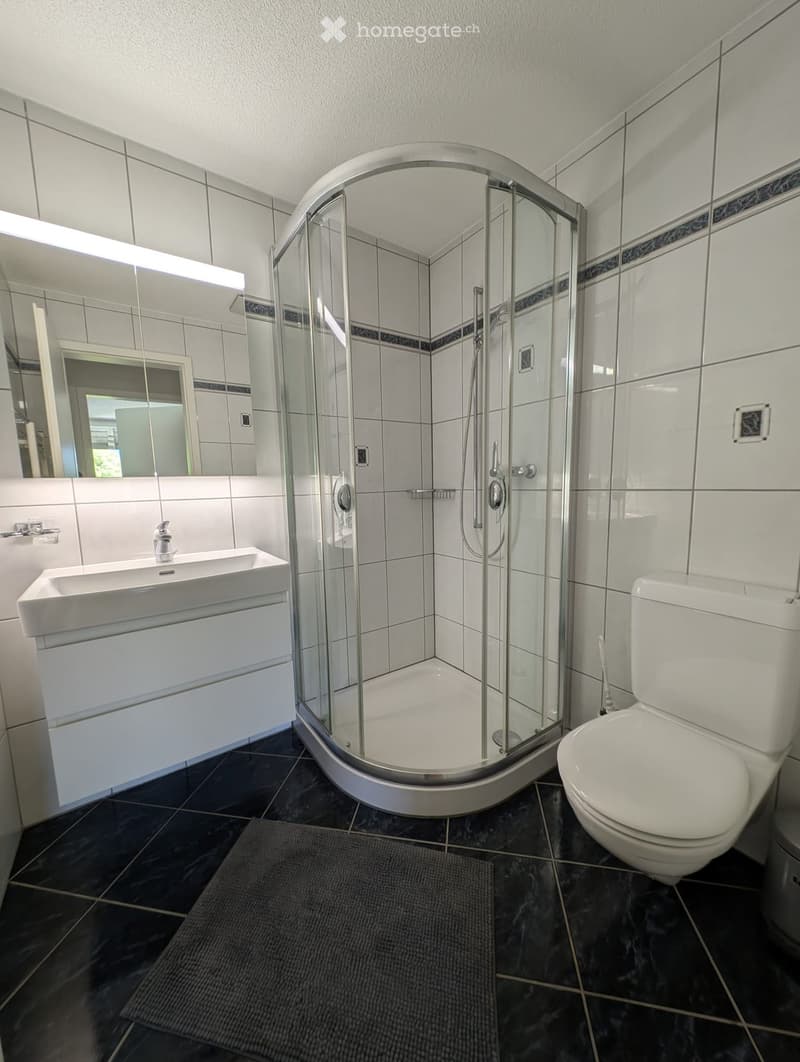 Modern bathroom with white tiles, a glass-enclosed shower, a white sink with a mirror, and a toilet. Dark tiled floor with a small rug.