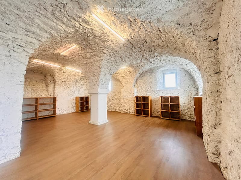 stone walls, wooden floor, wooden shelves, arches, lights