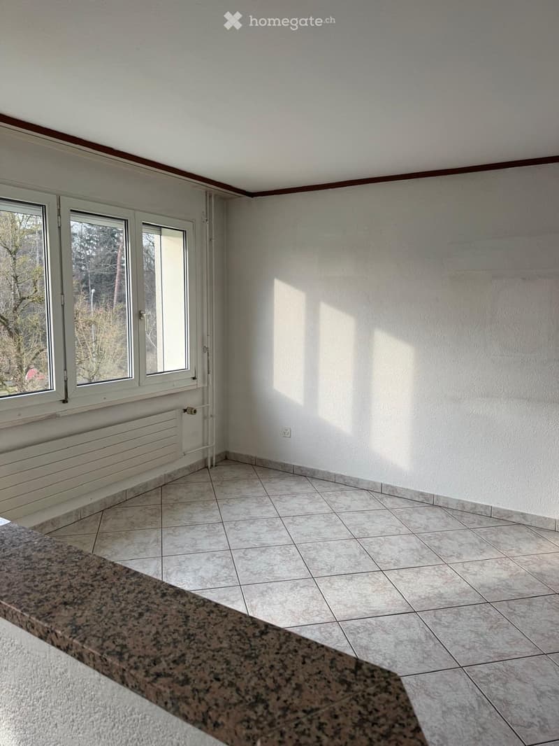 Empty room with tiled floor, white walls, and large windows with white frames. A radiator is visible under the windows, and a granite countertop is partially visible in the foreground.