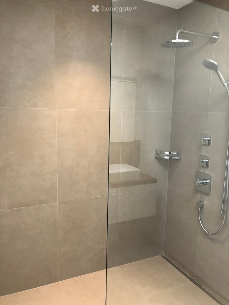 Modern shower area with glass enclosure, multiple showerheads, and tiled walls and floor.