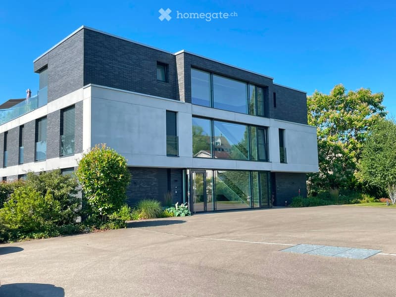 Modern two-story house with dark brick facade, large glass windows, and a spacious driveway.