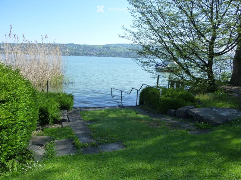 A serene lakeside garden with a stone pathway leading to a metal railing, surrounded by lush greenery and a calm lake in the background.