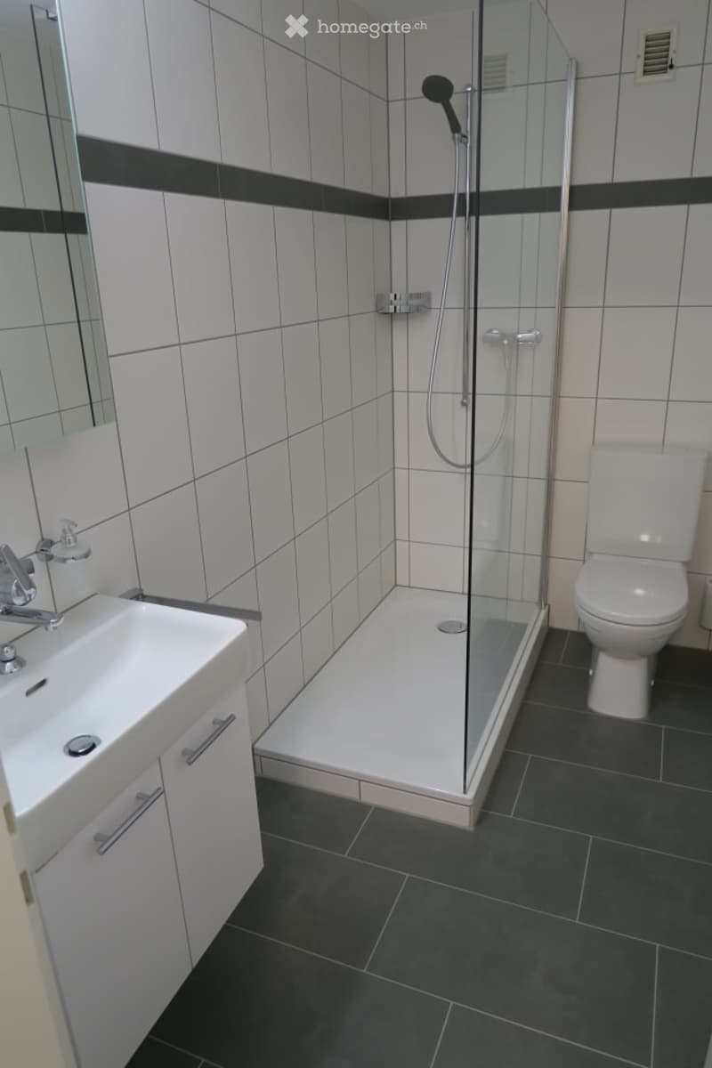 Modern bathroom with white tiles, black accents, a glass-enclosed shower, a white sink with a mirror, and a toilet.