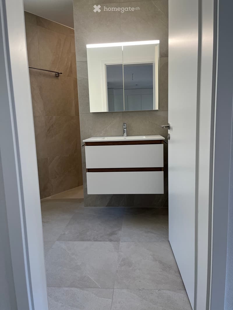 Modern bathroom with a white sink, mirrored cabinet, and sleek faucet.