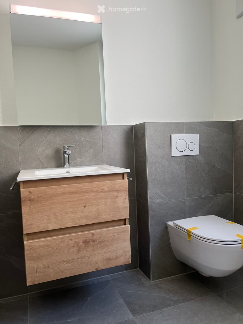 Modern bathroom with a wooden vanity cabinet, sink, faucet, large mirror, and toilet.