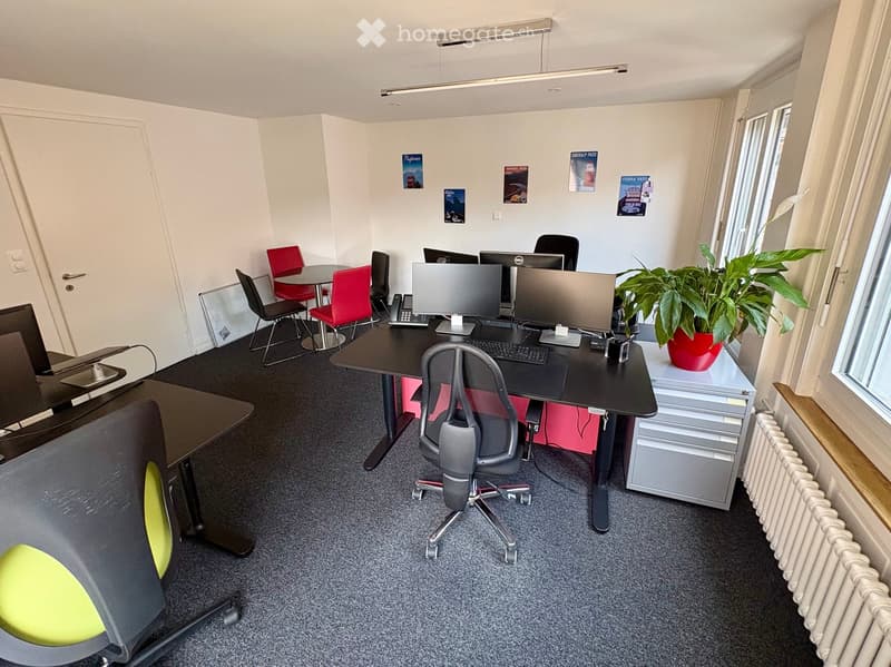 Office space with desks, chairs, computers, and a potted plant near a window.