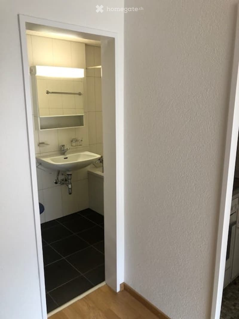 Modern bathroom with white tiled walls, dark tiled floor, a white sink, a mirror, and a towel rack.