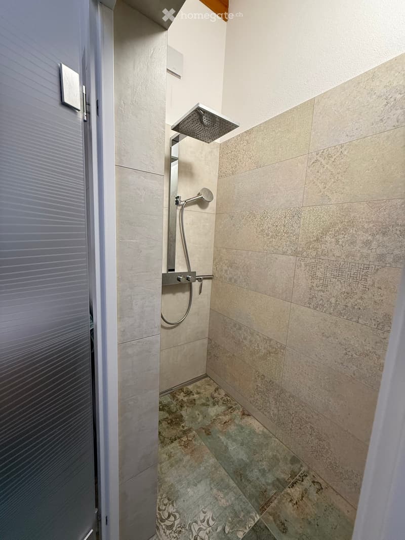 Modern shower area with a handheld showerhead and a fixed overhead showerhead, featuring beige tiles with intricate patterns and a contrasting green-tiled floor.