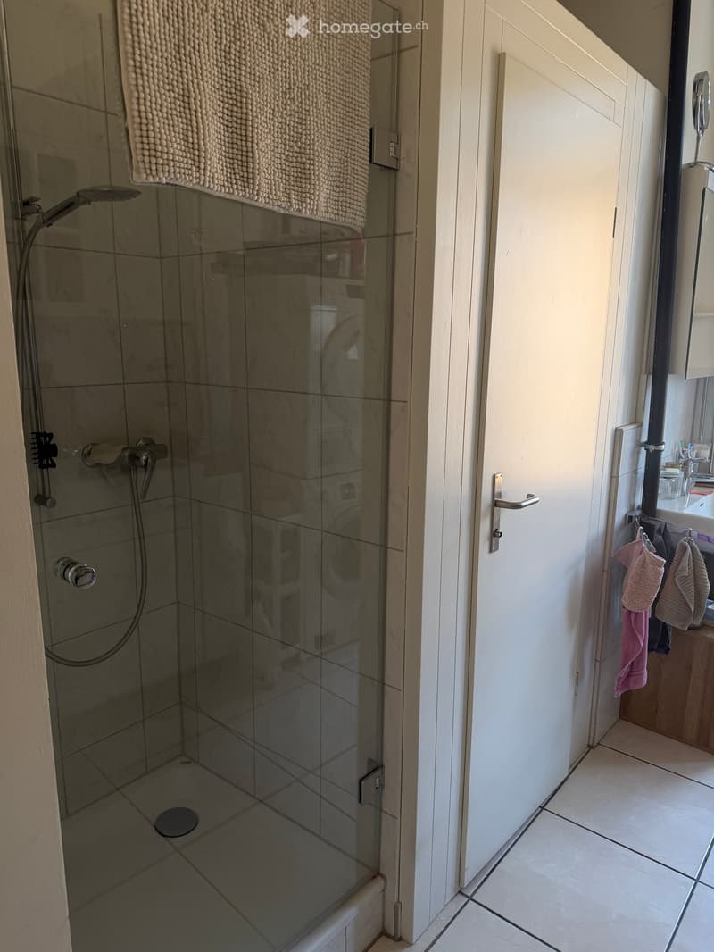 Modern bathroom with a glass-enclosed shower, tiled walls, and a towel hanging on the wall.