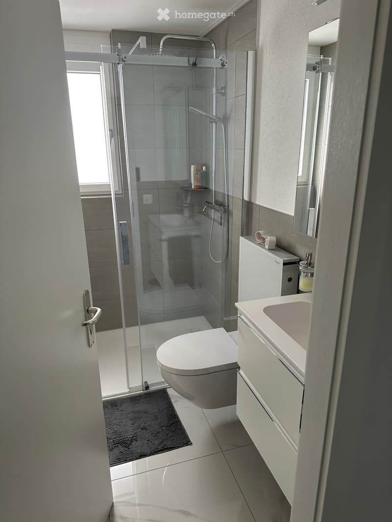 Modern bathroom with a glass-enclosed shower, toilet, sink, and mirror. Features a white cabinet and a dark grey bath mat.