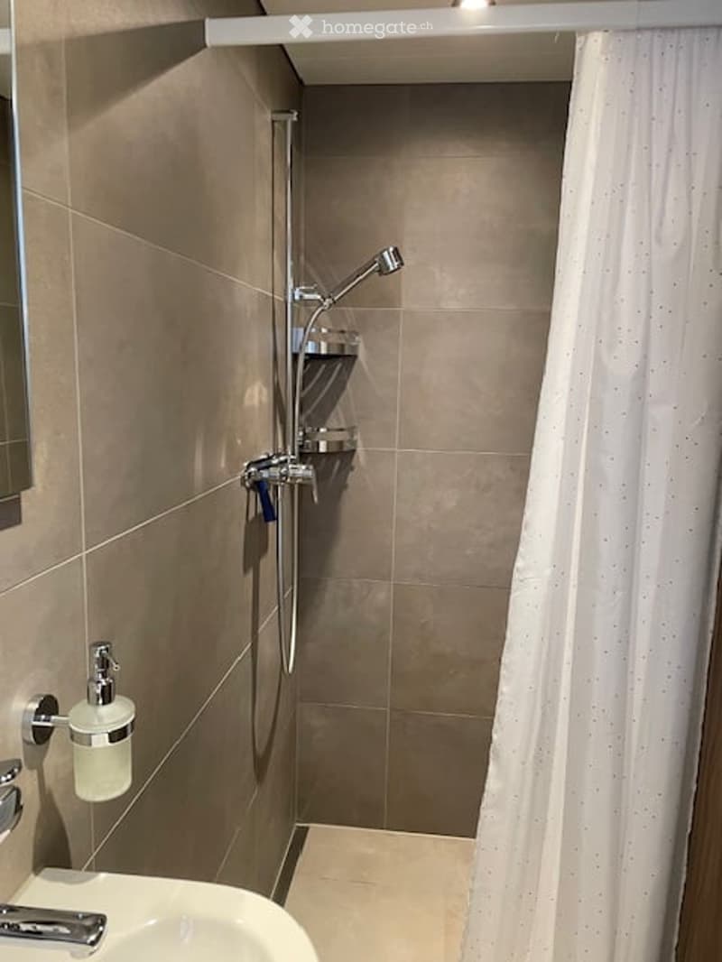 Modern bathroom with a shower, shower curtain, a soap dispenser, and a sink.