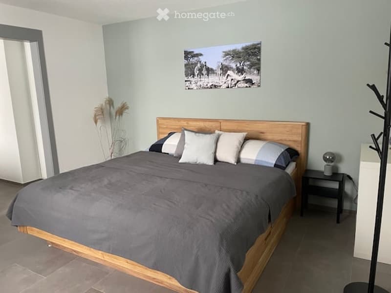 A modern bedroom with a wooden bed frame, grey bedding, white and blue pillows, a nightstand with a lamp, a picture frame on the wall, and a coat rack near the door.