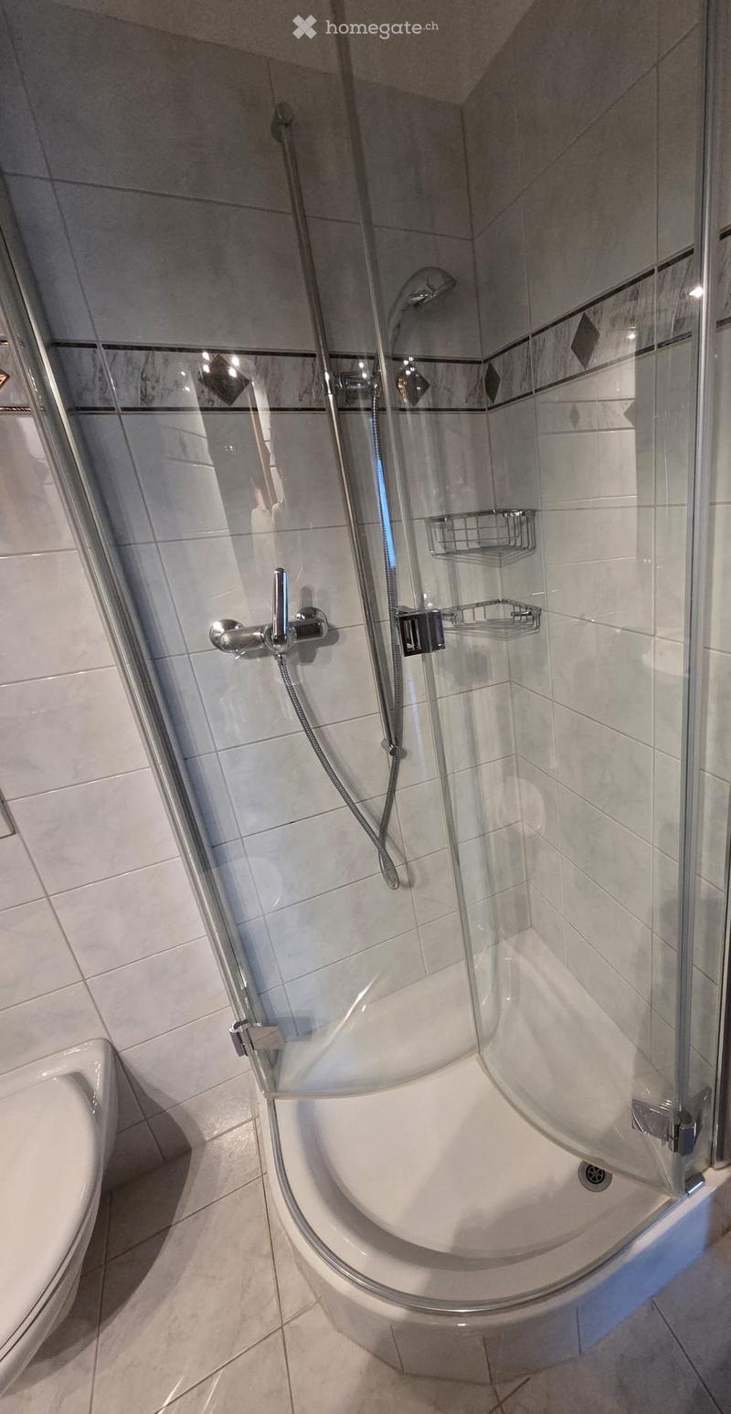 Modern bathroom with a corner bathtub enclosed in a glass shower, a separate toilet, and a handheld shower hose with a handheld showerhead.