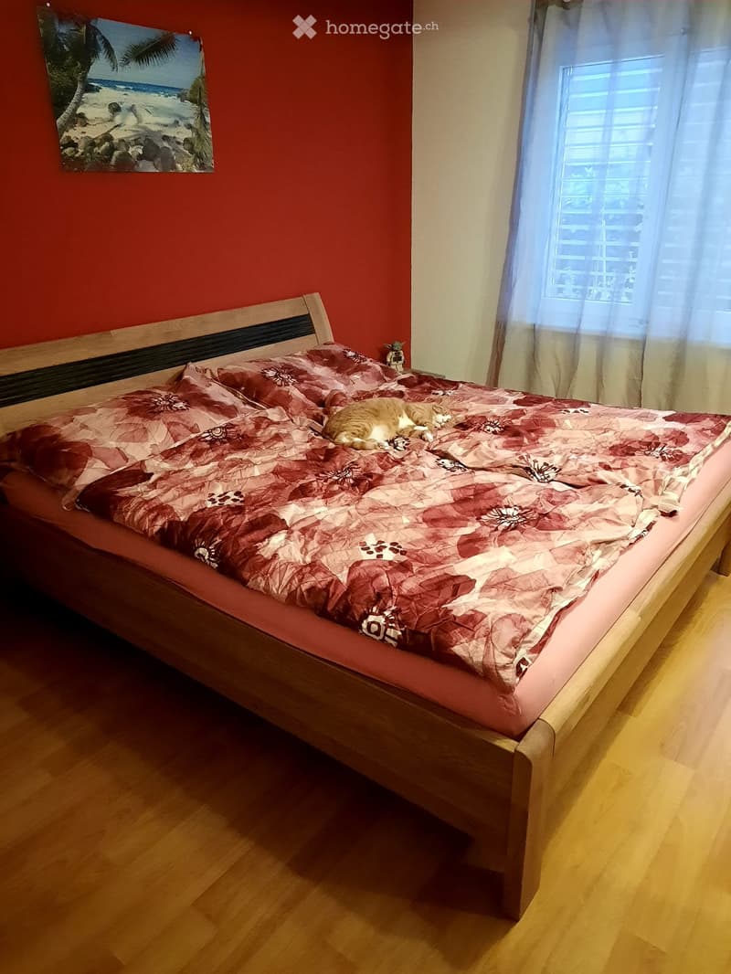 A cozy bedroom with a wooden bed, a red and white floral quilt, and a cat resting on the bed. The room features wooden flooring and a window with white curtains.