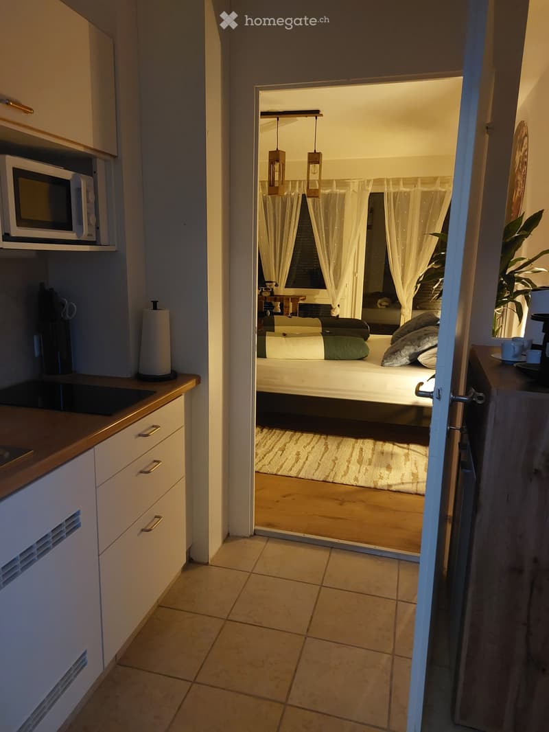 A compact studio apartment with a small kitchen area featuring a microwave, sink, and cabinets, and a bedroom area with a bed, pillows, and a small table.